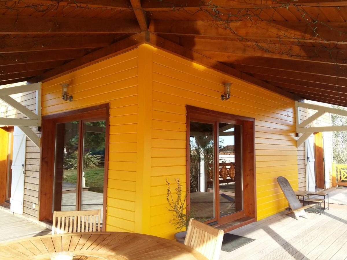 Ecolodge Bellevue อัลบี ภายนอก รูปภาพ