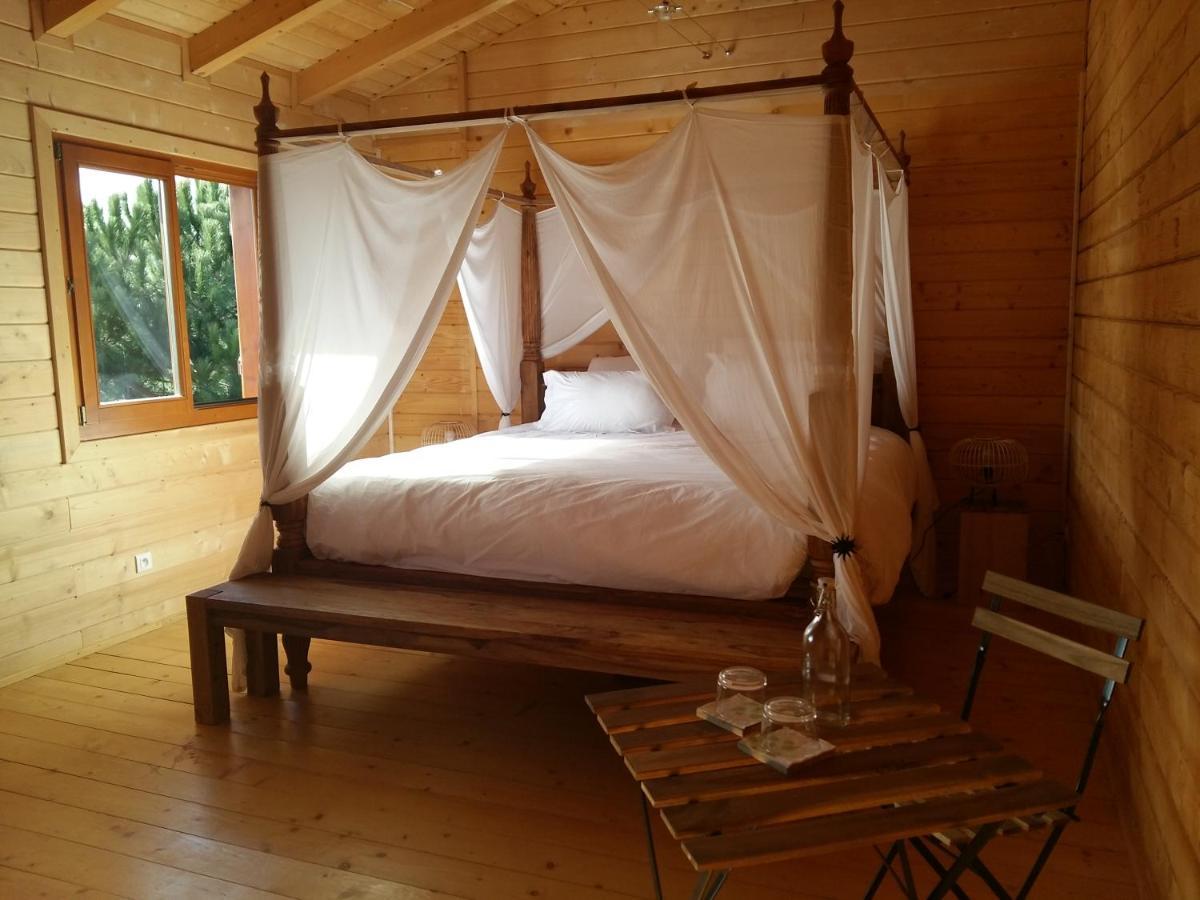 Ecolodge Bellevue อัลบี ภายนอก รูปภาพ